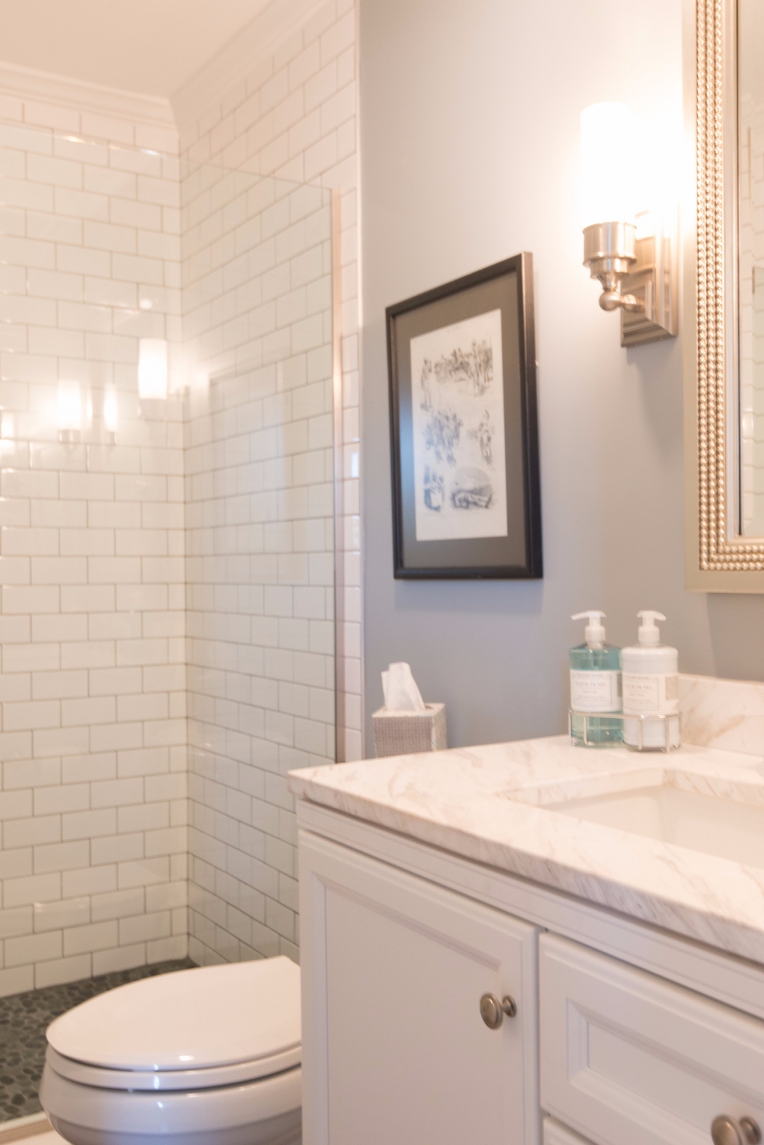 Kings Grant Bathroom Remodel Vol.6 in Fenwick Island DE Sea Light